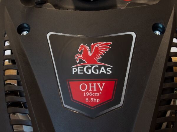 Petrol engine Peggas EB001-DV196 - Image 11