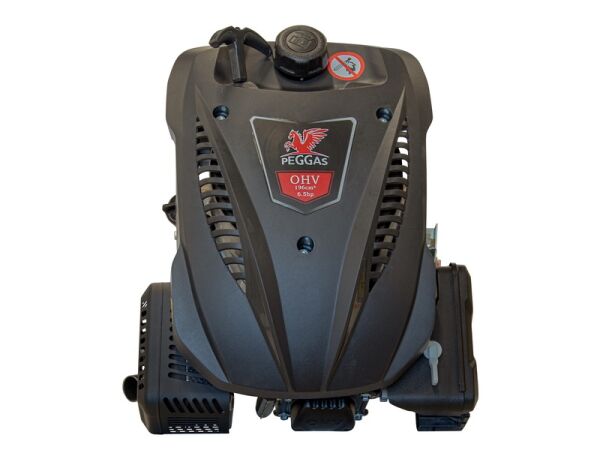 Petrol engine Peggas EB001-DV196 - Image 12