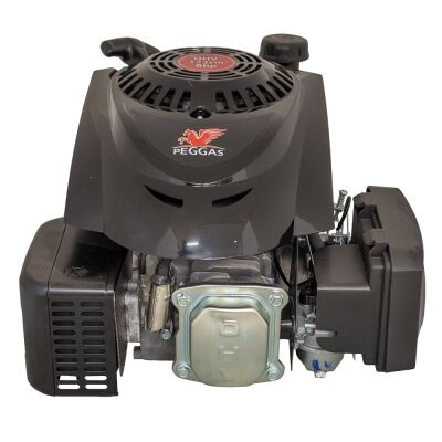 Spare part petrol engine Peggas RV170